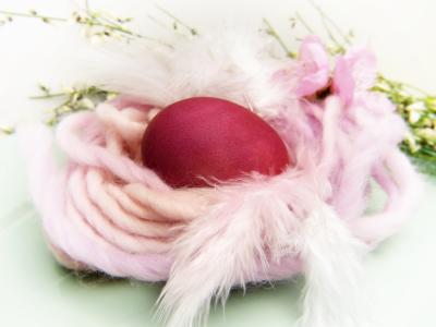 复活节的巢, 鸡蛋, 红色, 羊毛, 鸟巢, 颜色, 染料蛋