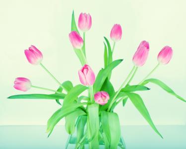 花, 郁金香, 春天, 花瓶, 粉彩, 花瓶, 花束