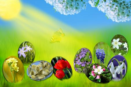 复活节, 鸡蛋, 春天, 太阳, 草, 绿色, 天空