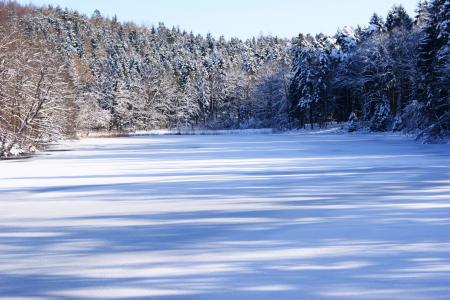 湖, 冬天, 树木, 雪, 天空, 蓝色, 冻结