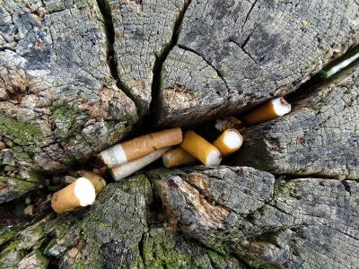 香烟, 处置, 树干, 裂缝, 破解, 老, 处置