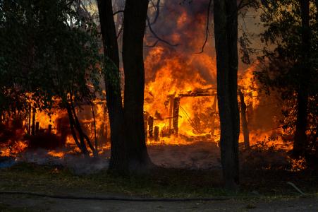 消防, 热, 树木, 烧伤, 炖煮的食物, 火焰, 木材