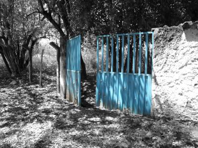 门, 景观, 自然, 字段, 树木, 蓝色