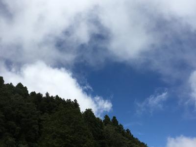 阿里山, 台湾, 蓝蓝的天空