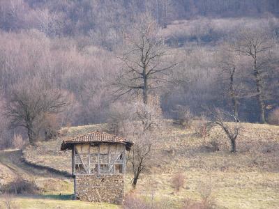 保加利亚, 山, 阁楼, 村庄, 徒步旅行, 老房子, 欧洲