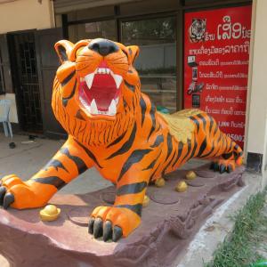 老虎, 动物, 野生动物, 孟加拉, 头, 亚洲, 橙色