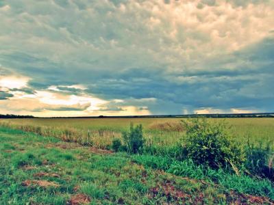 德克萨斯州, 天空, 风暴, 云彩, 字段