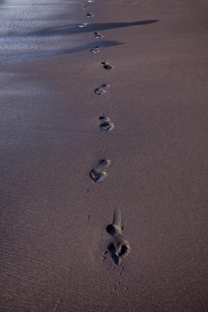 足迹, 海滩, 痕迹, 沙子, 黑色, 赤脚, 跟踪