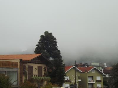 草坪, 天空, 雾, 雨, 感冒