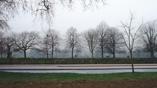 有雾的伦敦公园