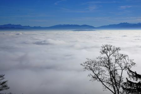 雾, 天空, 自然, 树木, 冬天, 秋天, 心情