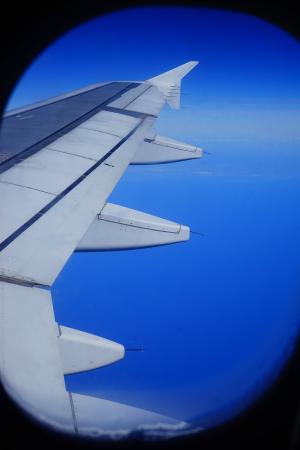 飞, 飞机, 翼, 海, 蓝色, 海洋, 飞机