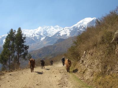 山脉, 道路, 玻利维亚, 马, 山, 自然, 人