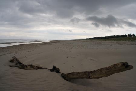 海滩, 沙子, 令人沮丧, 特里斯特, 荒芜, 波罗的海沿岸, 波兰