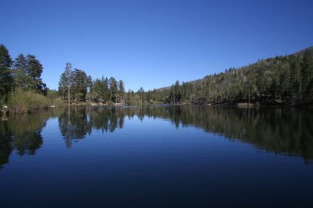 湖, 詹克斯湖, 蓝蓝的天空, 水的倒影, 森林, 深蓝色水, 针叶树