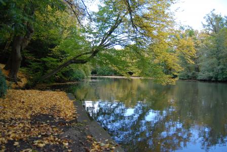 秋天, 秋天的树叶, 树木, 湖, 水, 反思, 景观