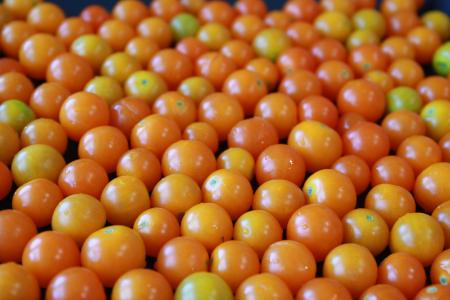 黄樱桃西红柿, 黄西红柿, 樱桃番茄, 小西红柿, 黄色, 番茄, 橙色