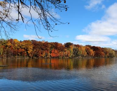 狐狸河, 河, 阿普尔顿, 威斯康星州, 秋天, 秋天, 树木
