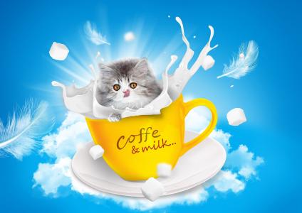 猫, 牛奶, 茶杯, 波斯语, 语言, 糖, 天空