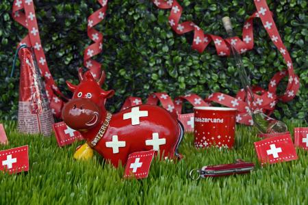 国庆节, 瑞士, 庆祝, 纪念品, 国旗, 瑞士国旗, sac 直径