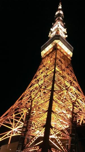 东京塔, 夜景, 黑色, 橙色