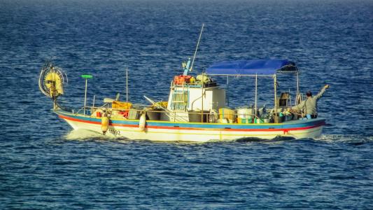 捕鱼, 渔船, 小船, 海, 传统, 渔夫, 塞浦路斯