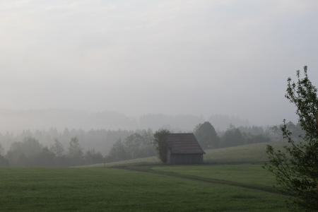 德国, 雾, 雾, 风景名胜, 巴伐利亚, 早上, 字段