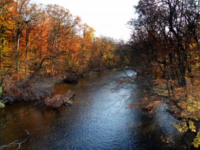 新泽西州, 帕塞伊克河, 秋天, 秋天, 水, 河, 流