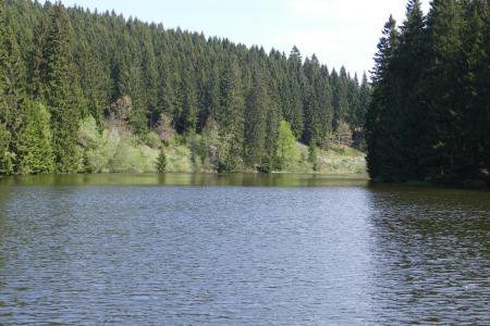 grumbach 池塘, 湖, 水, 森林, 自然, 景观