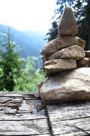 石头, 桩, 奥地利, 森林, 木材, 大老山, 自然