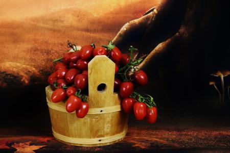 收获西红柿, 木桶, 蔬菜, 食品, 食物和饮料, 人类身体的一部分, 水果