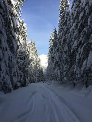 雪, 西北, 树木, 冬天, 自然, 山, 兰尼埃三世
