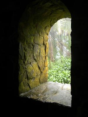 窗口, 门户网站, 石头, 年龄, 青苔, 绿色, 波多黎各