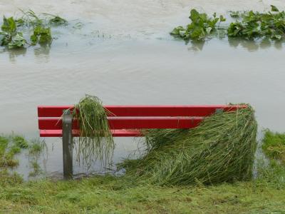 高水, 公园的长椅上, 被淹, 草, 下降的, 红色, 湿法