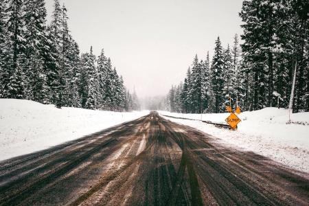 自然, 树木, 道路, 雪, 感冒, 方式, 旅行