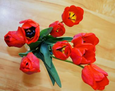 郁金香, 花, 花束, 光明, 美丽的花朵, 丰厚的回报, 3月8日