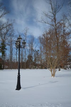 冬天, 雪, 景观, 灯柱, 感冒, 白色