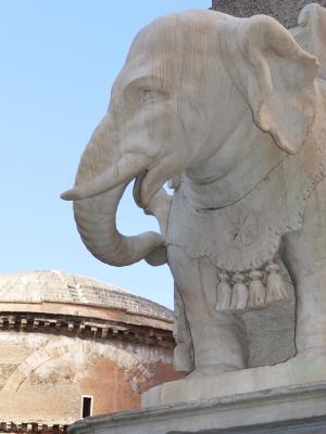 大象, 贝尼尼, 罗马, 石图, ruesseltier, 雕塑