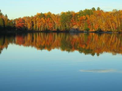 秋天, 湖, 反思, 秋天, 颜色, 风景名胜, 树木