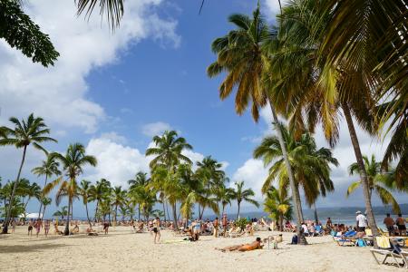 海滩, levantado, 岛屿, 加勒比海, 得岛, 棕榈树