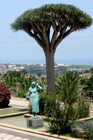 拉斯帕尔马斯, 地中海, 西班牙, 雕像, 树