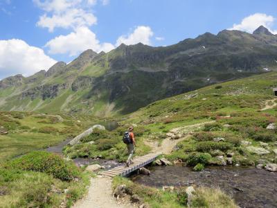 奥地利, 山脉, 景观, 水, 自然, 流量, 夏季