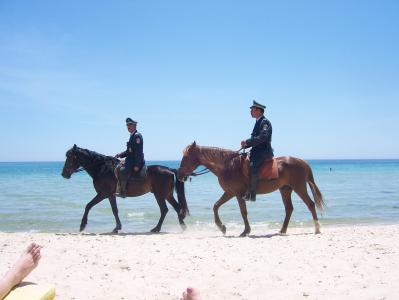 马, 沙子, 车载警察, 警察, 海洋, 动物, 海滩