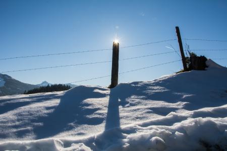 冬天, 太阳, 雪, 回光, 扎乌·普纳, 栅栏