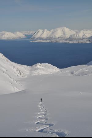 滑雪, 越野滑雪, 高山, 挪威, lyngen, 阿尔卑斯山, 粉