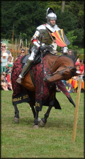 壮观的骑士, 骑士, 马, 长矛, 马术锦标赛, 中世纪, 战斗
