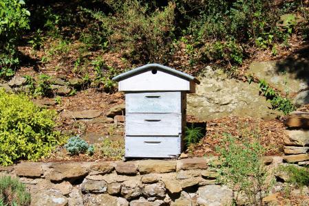 蜂巢, 养蜂, 花园, 蓝蜂巢, 养蜂人