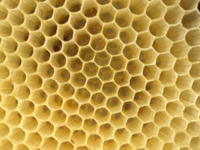 蜜蜂, 鸡蛋, 蜂窝状, 蜂蜜, 内六角, 背景, 蜜蜂