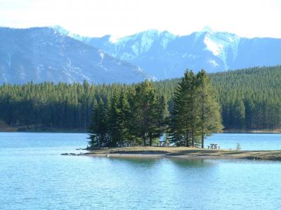 加拿大, 洛基山, 湖, 自然, 山, 森林, 景观
