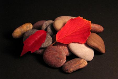 叶子, 石头, 秋天, 红色, 叶, 落叶的秋天, 秋天的颜色